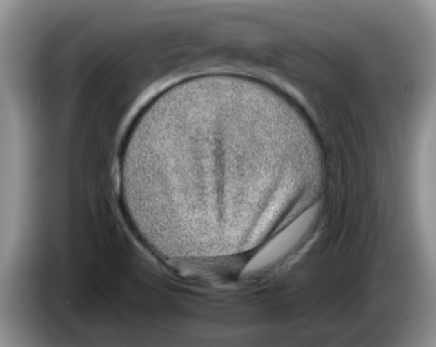 X0000083581509200703091647