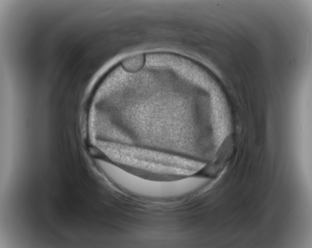 X0000083581510200703091647