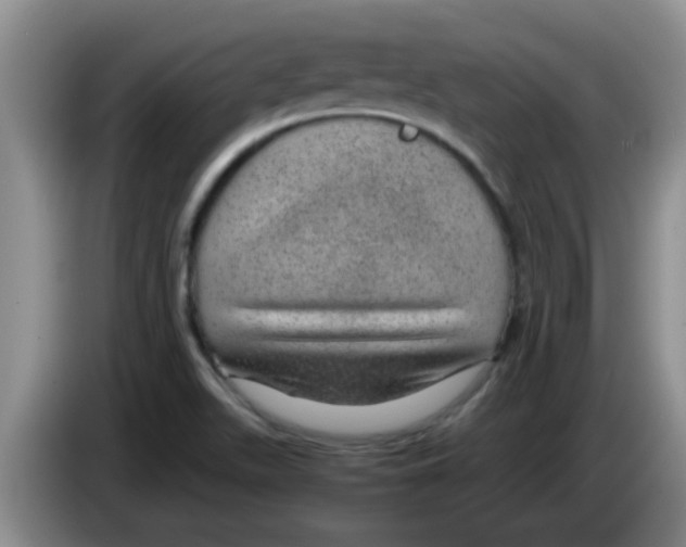 X0000083581511200703091648