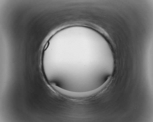 X0000083581512200703091648