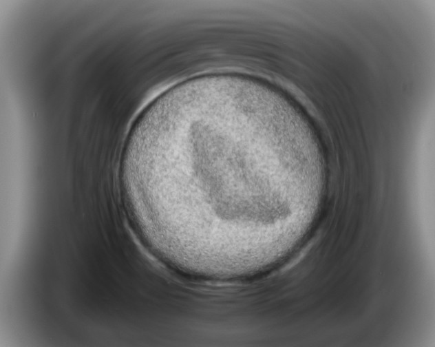 X0000083581513200703091648