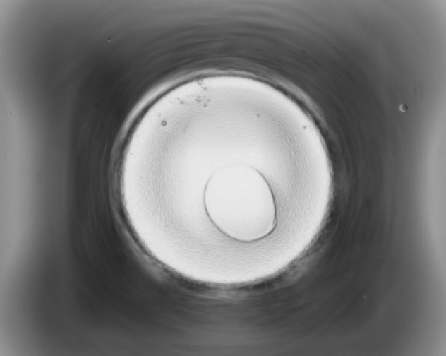 X0000083581514200703091648