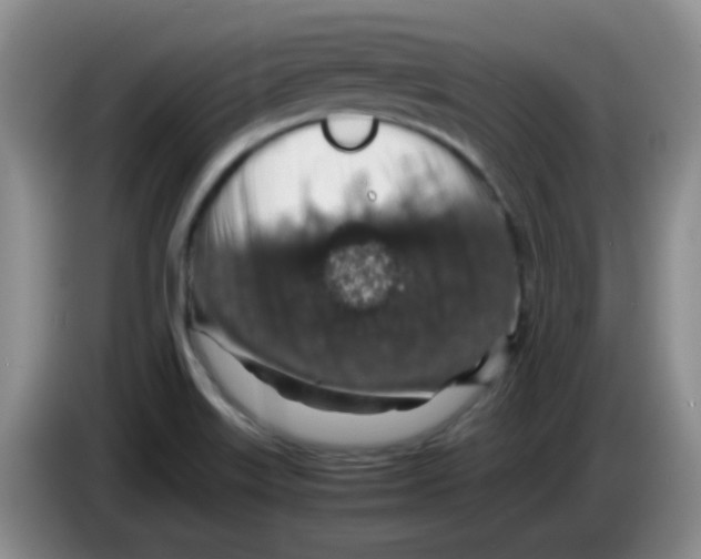 X0000083581515200703091648