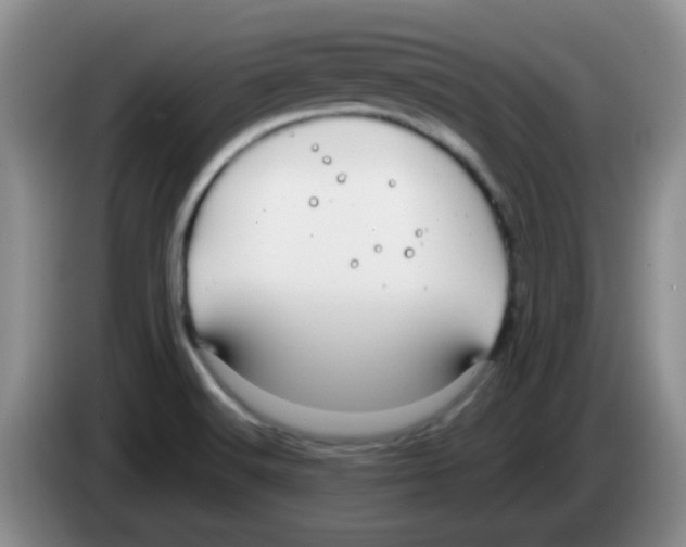 X0000083581516200703091648