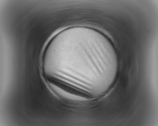X0000083581517200703091648