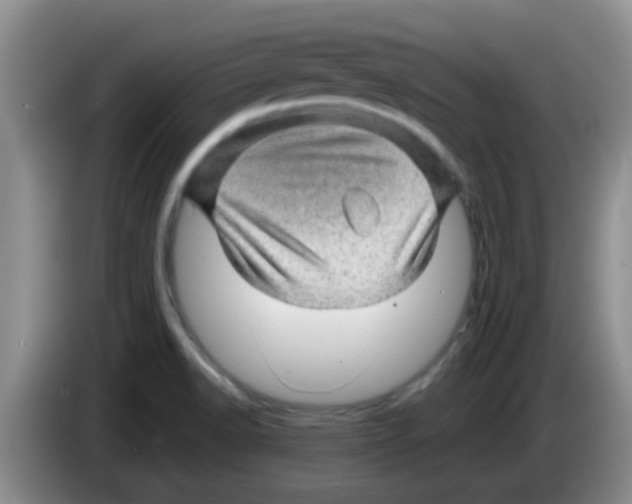 X0000083581518200703091648