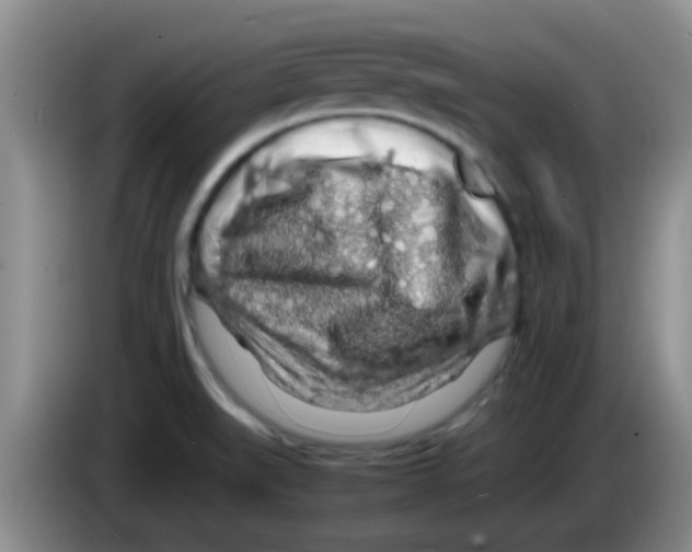 X0000083581519200703091648