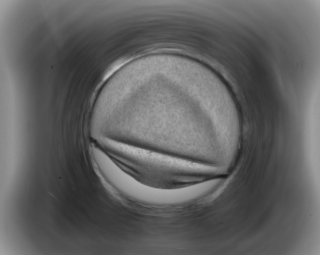 X0000083581521200703091648