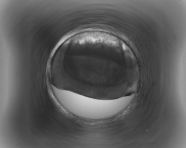X0000083581522200703091648
