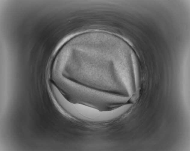 X0000083581523200703091648