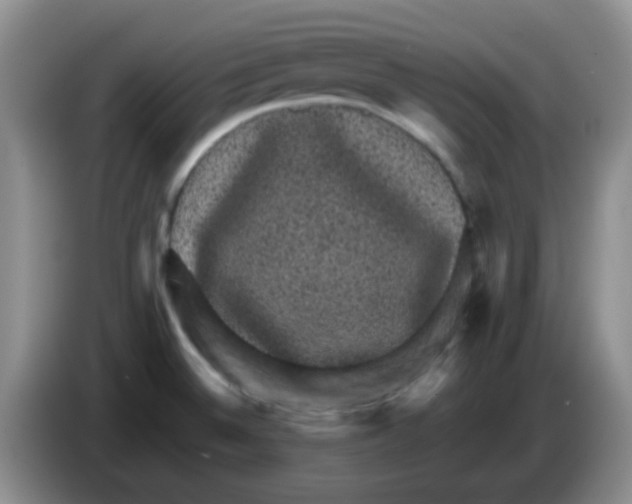 X0000083581524200703091648