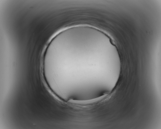 X0000083581526200703091648