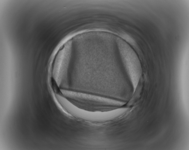X0000083581528200703091648