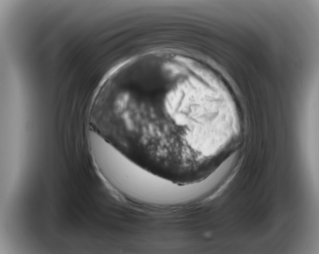 X0000083581529200703091648