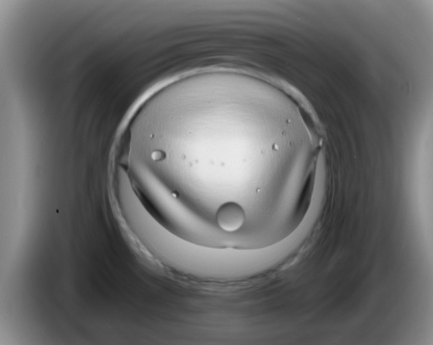 X0000083581530200703091648