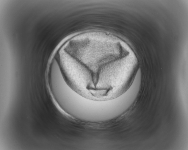 X0000083581531200703091648