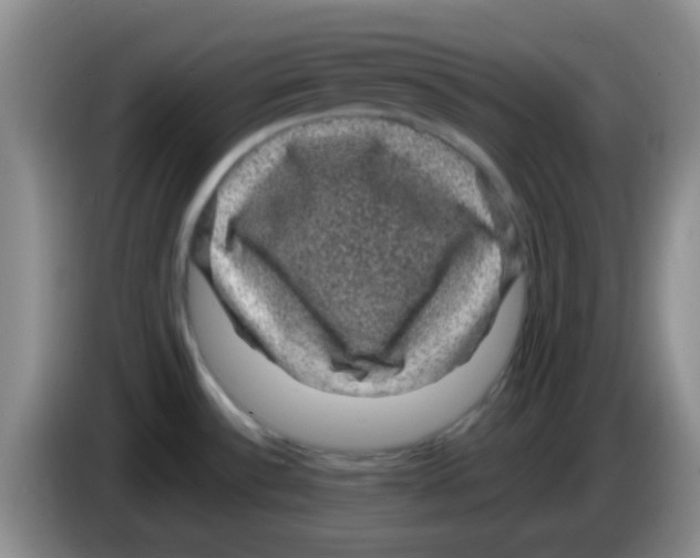X0000083581532200703091648