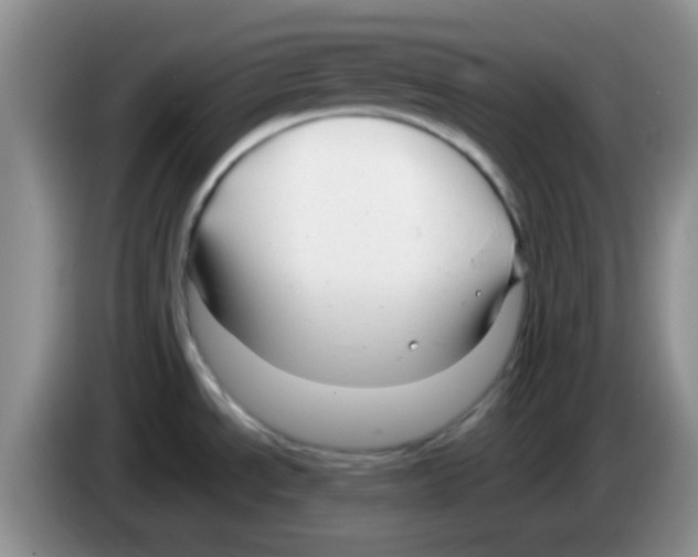 X0000083581534200703091648