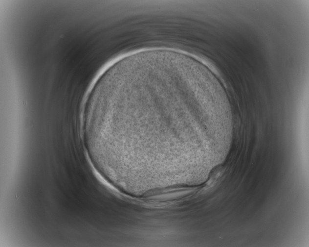 X0000083581535200703091648
