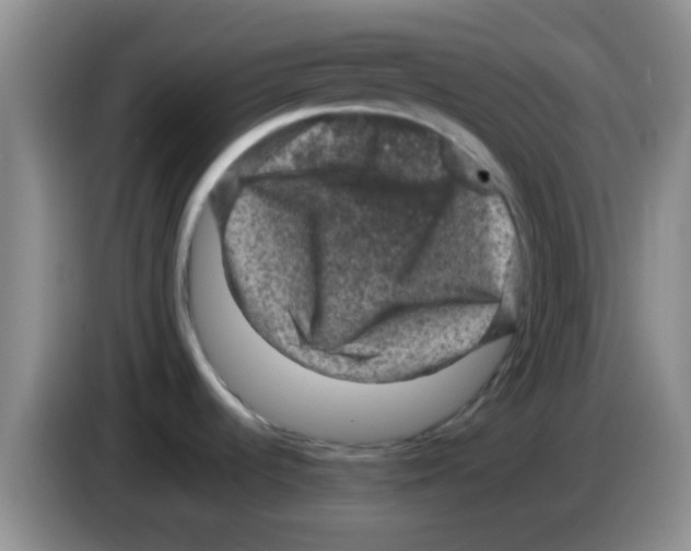 X0000083581536200703091648
