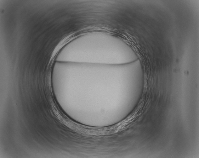 X0000083590004200702090853