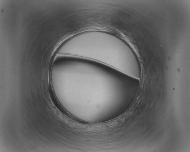 X0000083590011200702090853