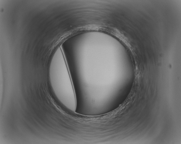 X0000083590013200702090853