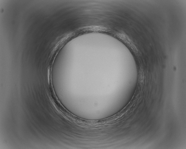 X0000083590014200702090853