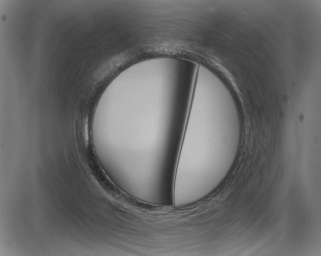 X0000083590020200702090853