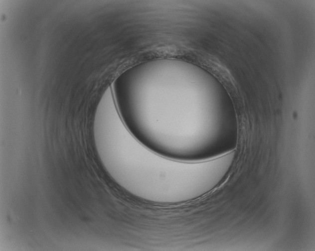 X0000083590029200702090853