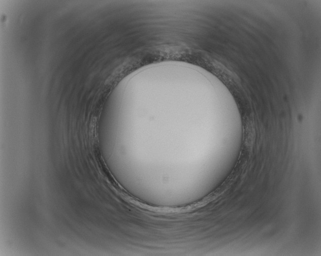 X0000083590034200702090852