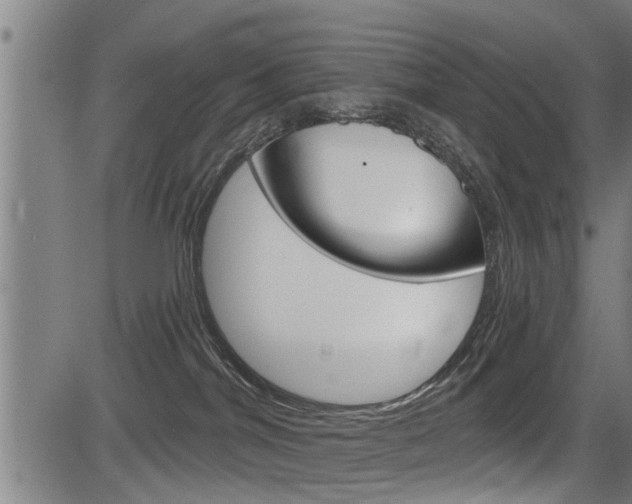 X0000083590044200702090852