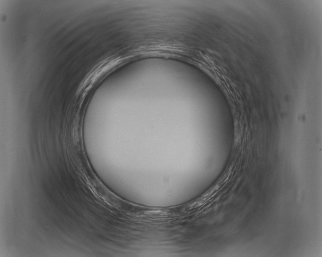 X0000083590050200702090851