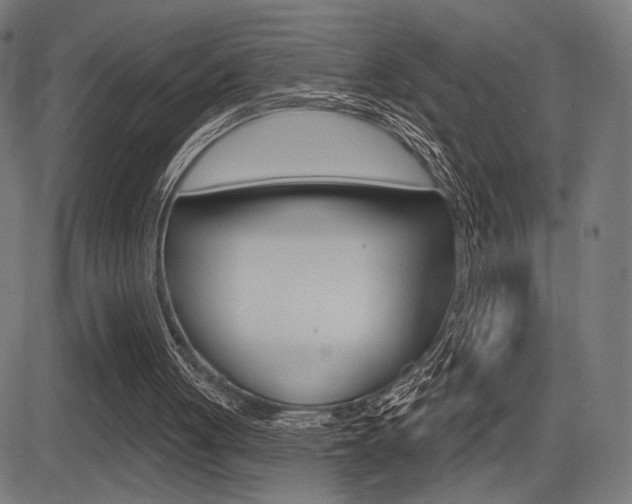 X0000083590051200702090851