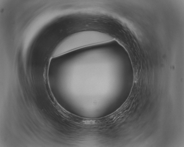 X0000083590052200702090851