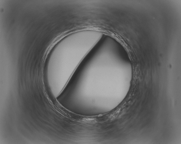 X0000083590055200702090852