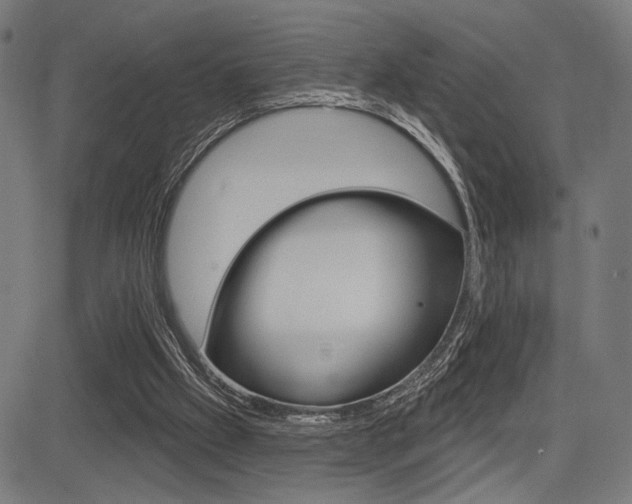 X0000083590057200702090852