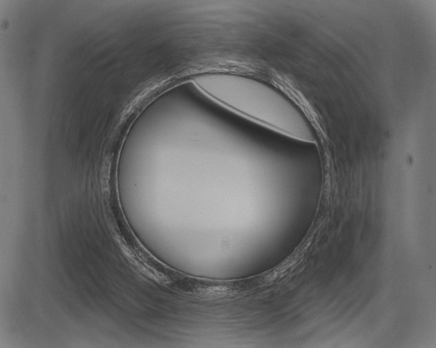X0000083590058200702090852
