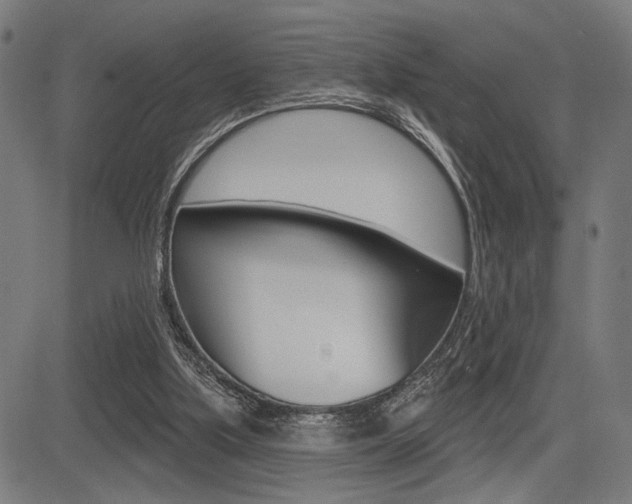 X0000083590059200702090852