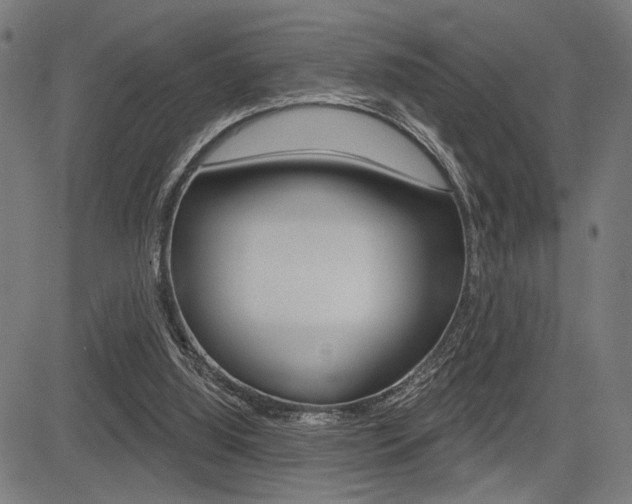 X0000083590060200702090852
