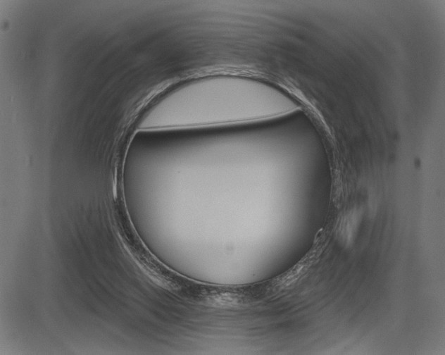 X0000083590062200702090852