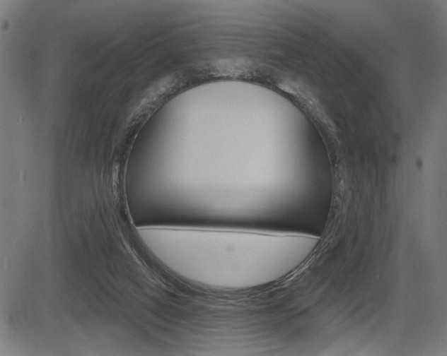 X0000083590066200702090852
