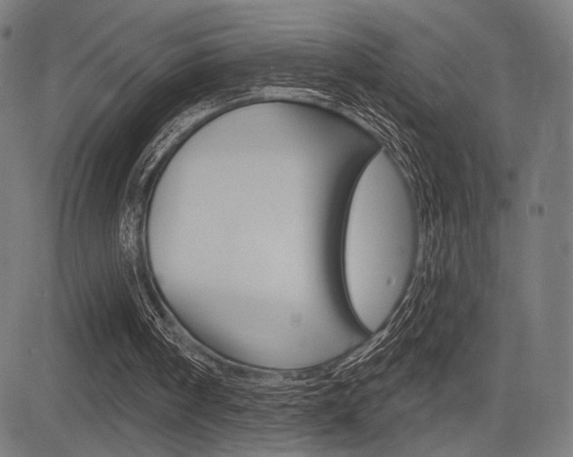 X0000083590098200702090851