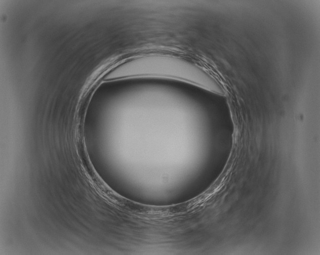 X0000083590101200702090851