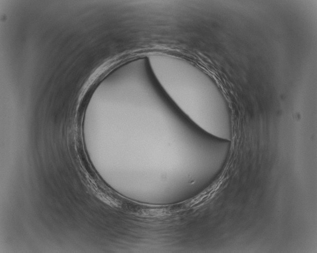 X0000083590102200702090851