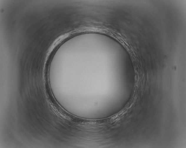 X0000083590104200702090851