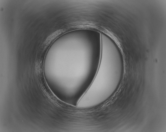 X0000083590105200702090851