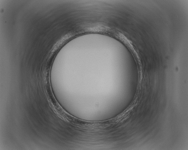 X0000083590106200702090851