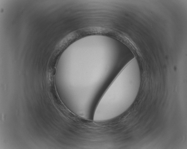 X0000083590119200702090851