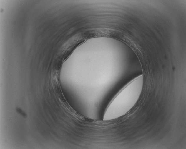 X0000083590141200702090851